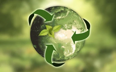 Sustainability Matters. The Eco-Friendly Approach to House Clearances